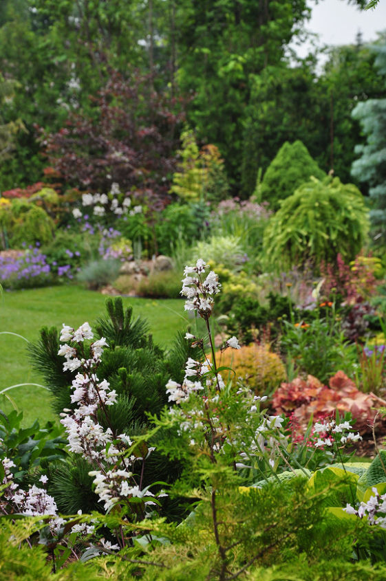 this is one garden you should see, flowers, gardening