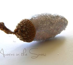 acorns in the snow, crafts