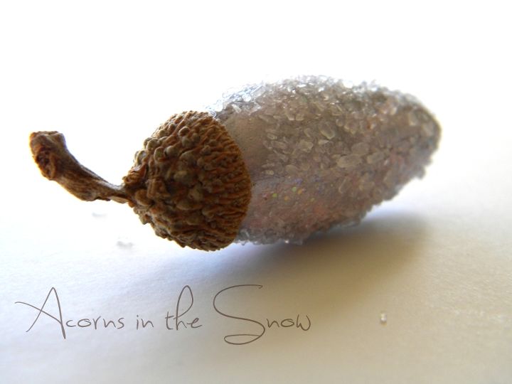 acorns in the snow, crafts