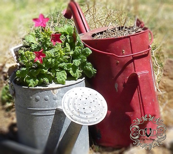 flower pots from junk, container gardening, flowers, gardening, repurposing upcycling, I love watering cans I collect them and every year I find a different way to plant them up