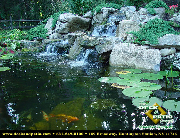 how do pond fish cope during winter, landscape, outdoor living, pets animals, ponds water features, Unlike in warmer months when pond fish are downright friendly and very active they tend to conceal themselves and remain dormant when it s cold