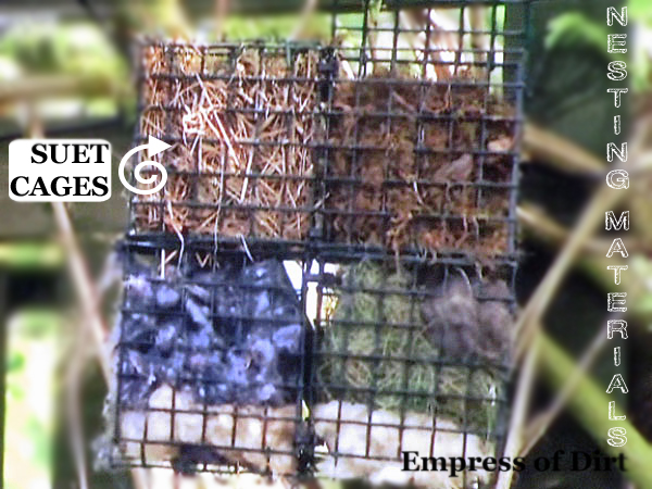 oferecer materiais de nidificao seguros para pssaros, Use gaiolas de sebo para guardar materiais Cuidado com o fio voc quer pe as curtas menos de 15 cm