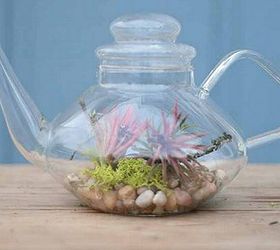 diy terrariums for gift giving, gardening, seasonal holiday d cor, succulents, terrarium, Stephanie of Garden Therapy has a collection of terrarium posts at