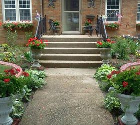 my large landscape project, flowers, gardening, landscape, I had different vareties of hosta plants along the front walk installed two large urns at the end of the walkway with red geraniums vinca vine and purple wave petunias