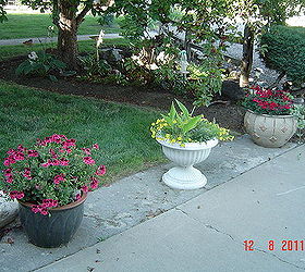 flower beds, flowers, gardening, same flower bed but potted plants along driveway