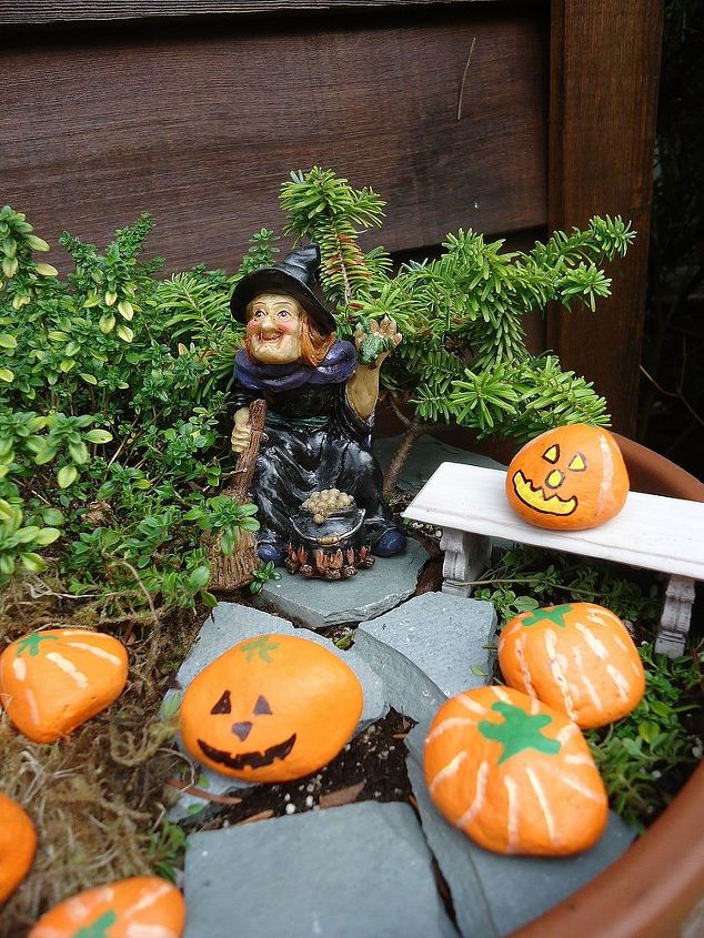 create a halloween miniature garden, crafts, gardening, halloween decorations, seasonal holiday decor, I painted rock pumpkins to use in the garden