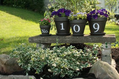 house number flower pots welcoming guests, flowers, gardening