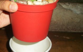 Recycle used food cups and add river stones to make your cacti planters daintier!