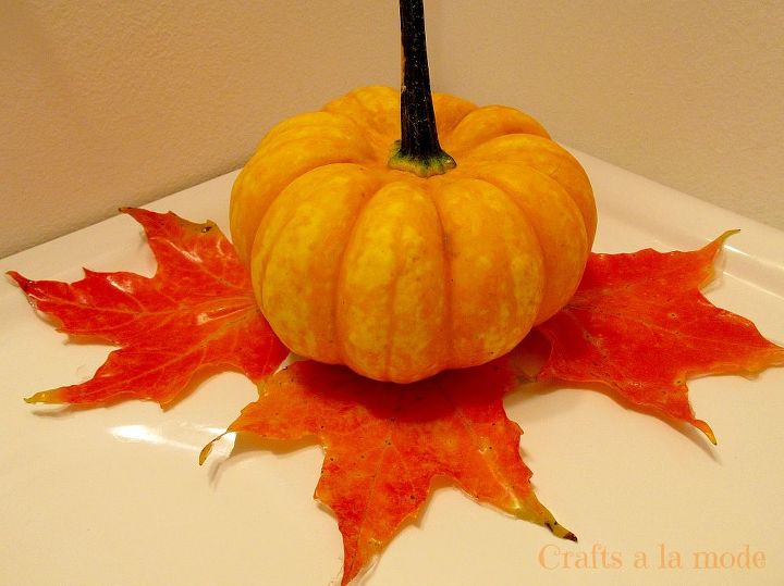 turn fall leaves into small soaps, crafts, gardening, seasonal holiday decor, How to cover Fall leaves with glycerin soap