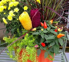 14 gorgeous fall planters, flowers, gardening, halloween decorations, perennials, seasonal holiday d cor, terrarium, Mum kin pot design by sow and dipity