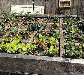 2014 s square foot garden, gardening