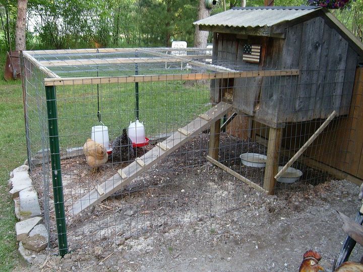 my new chicken coop made from old barnwood for henrietta amp greta, diy, pets animals
