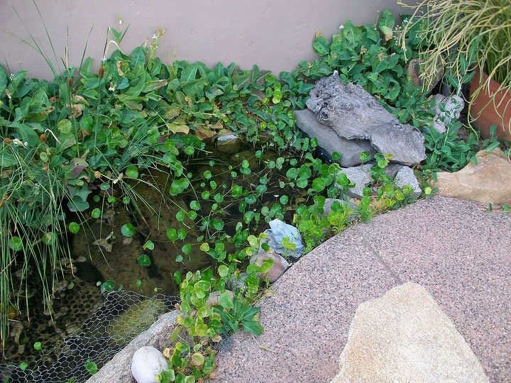 hader, landscape, outdoor living, ponds water features