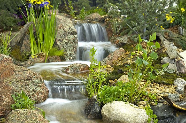 tis a privilege to live in colorado, outdoor living, ponds water features, Can t you just hear the water rushing over this Colorado moss rock