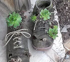 ponds and gardening, flowers, gardening, outdoor living, Easy enough to do with an old pair of boots
