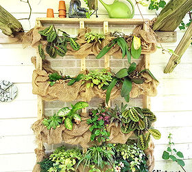 Hang Up Your Plants! Easy 2x4 Plant Shelf Project Hometalk