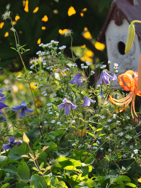 10 Great Ways to Display Birdhouses in Your Garden | Hometalk 10 Great Ways to Display Birdhouses in Your Garden | Hometalk