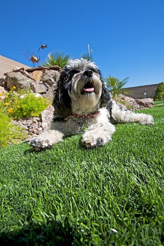 what s the best material for pet run flooring, landscape