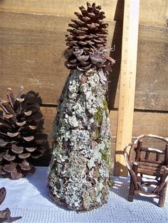 bark trees for porch or small garden area or home decor mantle, crafts, gardening, outdoor living