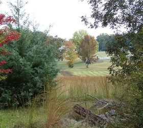 fall in alabama, gardening, landscape, outdoor living, Looking out toward the neighbors
