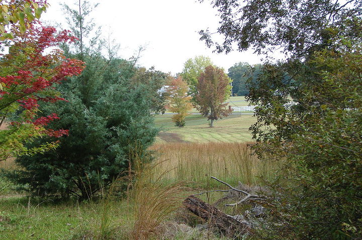 fall in alabama, gardening, landscape, outdoor living, Looking out toward the neighbors