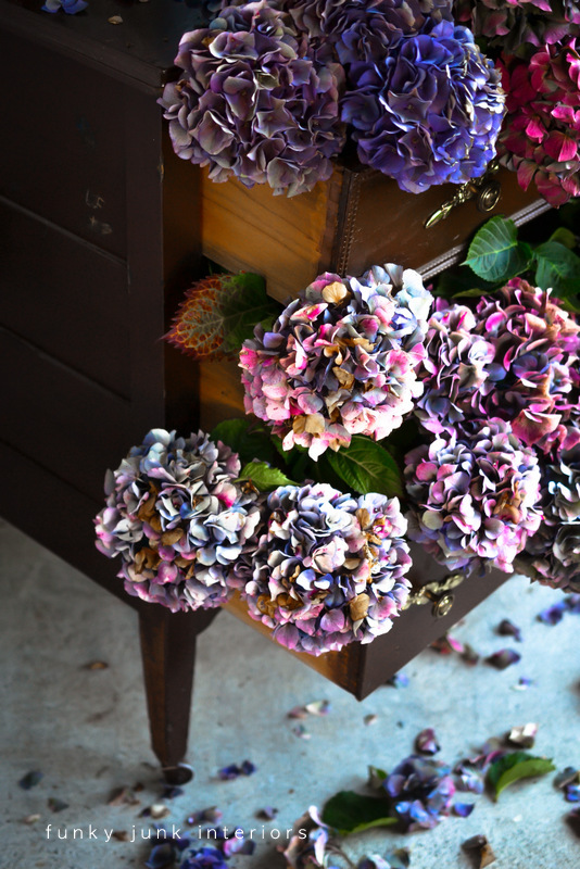 a dresser filled with hydrangeas, flowers, gardening, hydrangea, repurposing upcycling, Fall hydrangeas find their way into a dresser in a BIG way