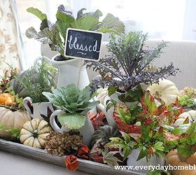 creating an autumn filled tray, seasonal holiday d cor, Heirloom pumpkins both real and faux are arranged around white pitchers planted with ornamental mustard and cabbage plants