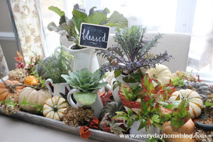 creating an autumn filled tray, seasonal holiday d cor, Heirloom pumpkins both real and faux are arranged around white pitchers planted with ornamental mustard and cabbage plants