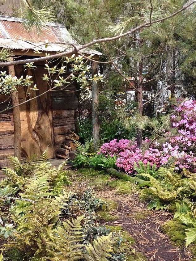 garden inspiration from the flower show, flowers, gardening, outdoor living, succulents, A cabin tucked away in a woodland garden