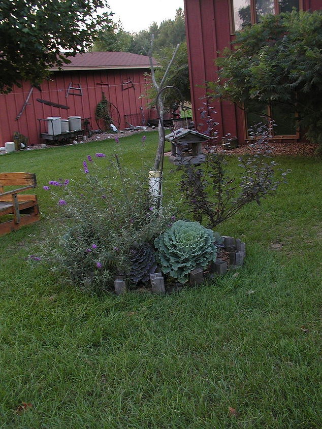 tjndb hl habitat gardens, flowers, gardening, outdoor living, This little garden is where our sewer pipe stood all by itself looking very out of place But the antique vignette by the back of the outbuilding was done hubby