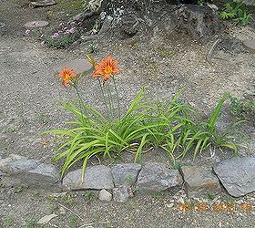 work in progress, flowers, gardening, add some pretty orange Day Lilies