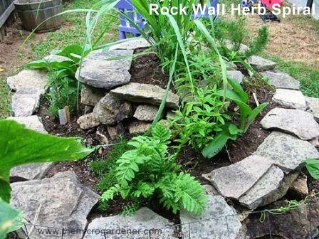 how to build a herb spiral garden, diy, flowers, gardening, homesteading, how to, perennial, Rock wall herb spiral Perfect design for adding a tall thriller at the top fillers in the middle and spillers over the edges and in cracks up the walls