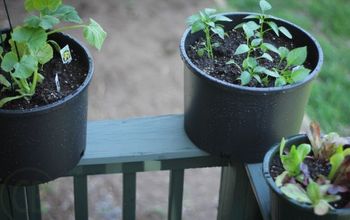 Tips For Container Gardening