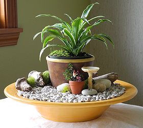 fast easy indoor miniature garden ideas for the black thumb, crafts, gardening, home decor, Different plants create different personalities