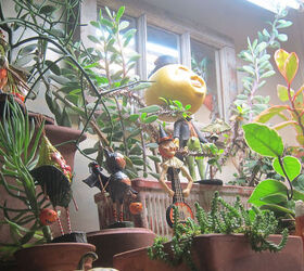 group c wins 3rd coin toss follow up halloween decor part 3 of 4, flowers, gardening, halloween decorations, seasonal holiday d cor, succulents, Partial View of GROUP D enjoying my succulent garden under the loving eyes of Mr Moon In The Man