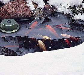 10 tips for preparing your pond for the winter, outdoor living, perennial, ponds water features, Tip 7 If you live in the north where temps are extreme add a floating heater to keep the surface from freezing over They have a built in thermostat and turn on and off when needed