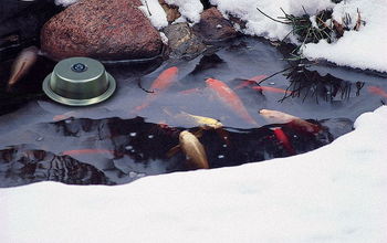 10 Tips for preparing your Pond for the winter