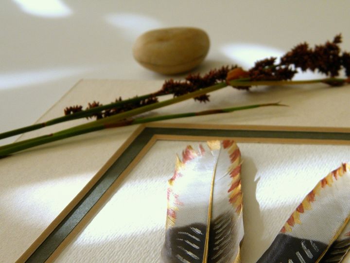 painted feathers, crafts