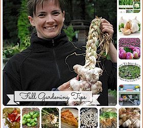 9 talented gardeners share their fall planting tips, gardening, 9 Gardeners share fall Gardening tips