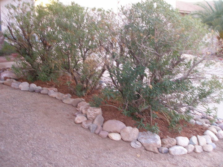 sand stone walk way, Continued rocks around bushes and added mulch
