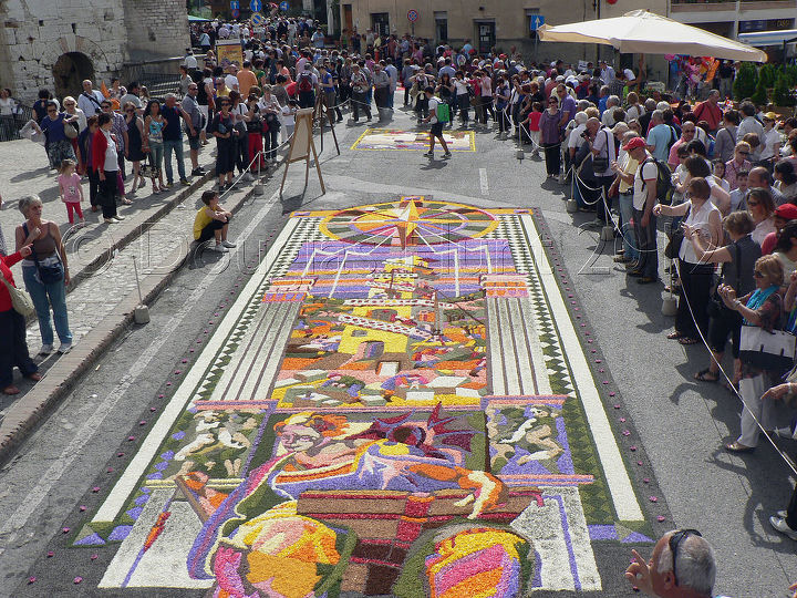 painted with petals, flooring, painting