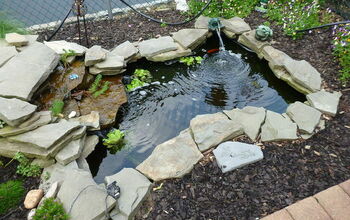 My husbands pond project.  I love it!