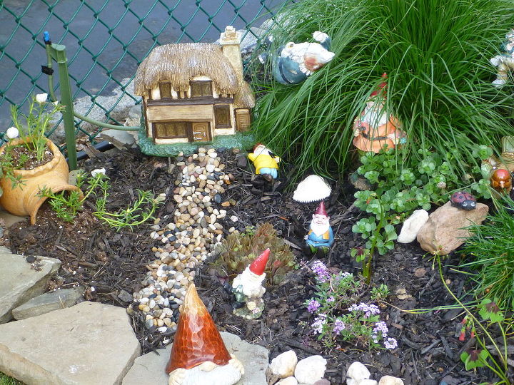 more gnome garden pictures, gardening