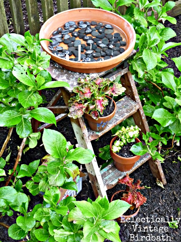 q plastic birdbaths no more, gardening, repurposing upcycling, Stepladder Birdbath