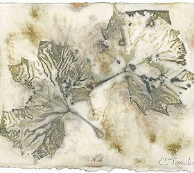 ecoprint art created by steaming leaves against watercolor paper, composting, crafts, go green, London Plane leaves 8 x 10 inches ecoprint on watercolor paper