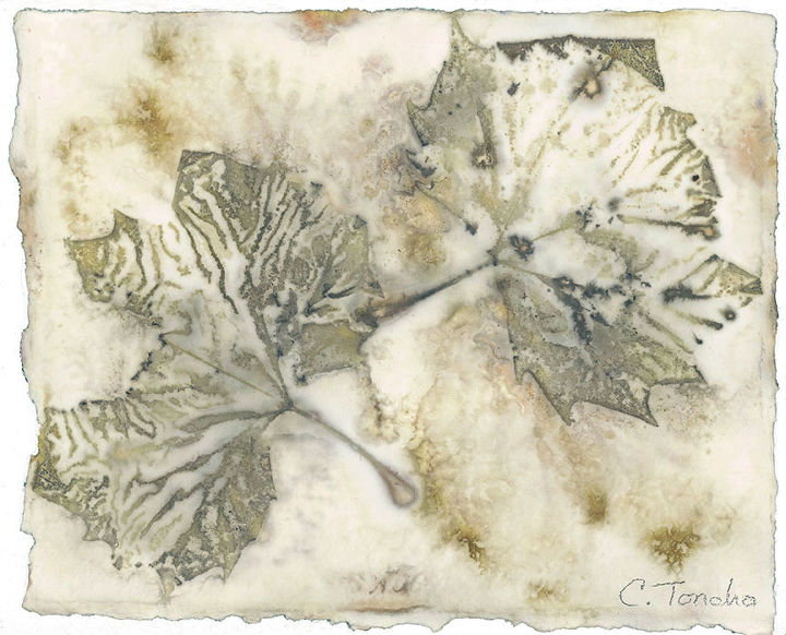 ecoprint art created by steaming leaves against watercolor paper, composting, crafts, go green, London Plane leaves 8 x 10 inches ecoprint on watercolor paper