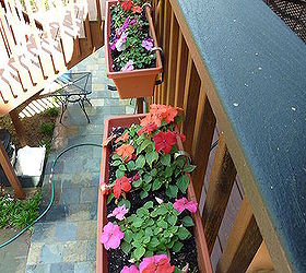 trying to turn and black thumb into a green thumb try try try, flowers, gardening, hydrangea, Impatiens we have a shady deck