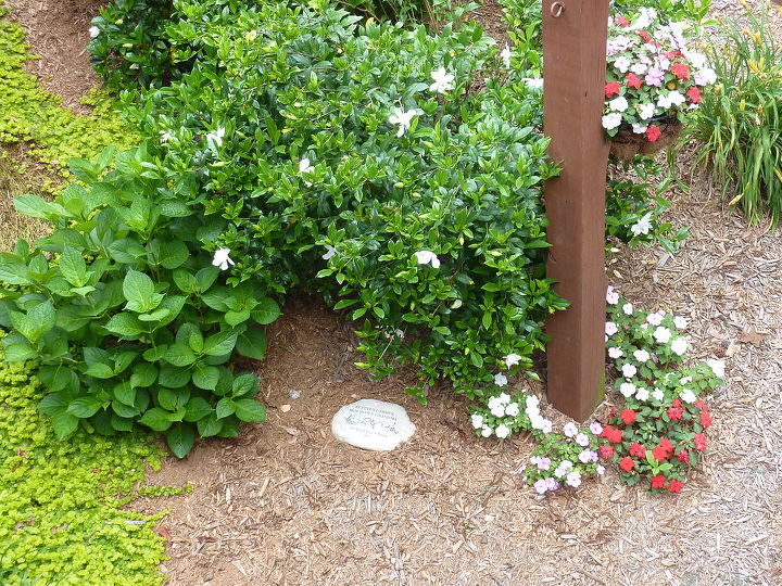 our memory garden my husband s mother was a wonderful gardener and had the greenest, gardening