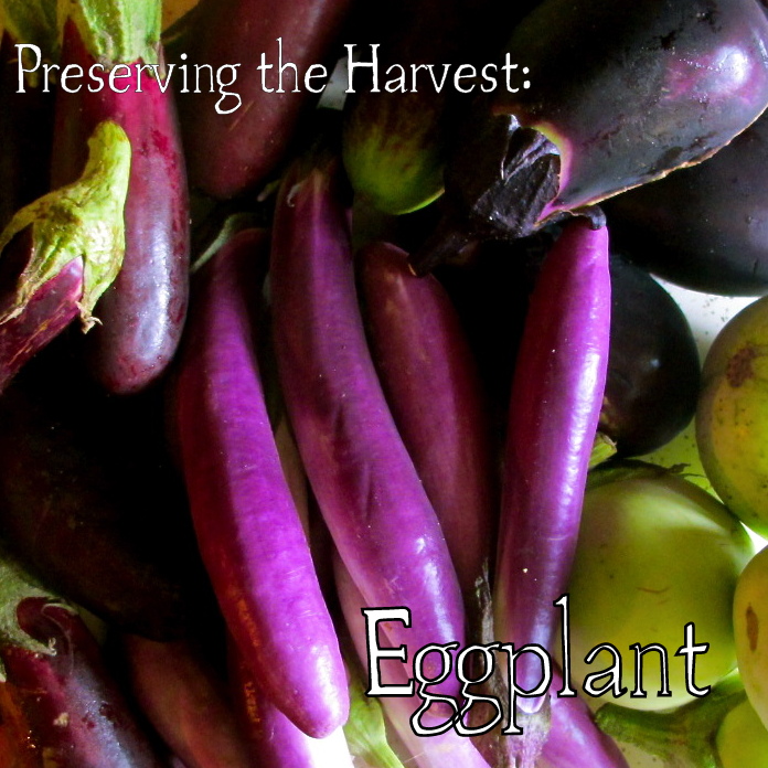preserving eggplant, gardening, go green, homesteading, Because eggplant is so dense it does not can well It can be frozen or dehydrated for longer storage