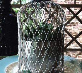 diy wire cloche, crafts, home decor, How about with a succulent